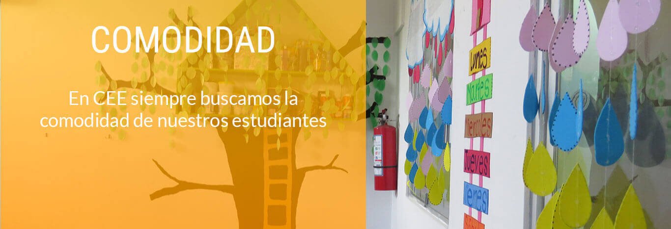 Educapeques Preescolar Tuxtla Gutierrez Chiapas Centro Educativo Educapeques, Educacion Tuxtla Gutierrez